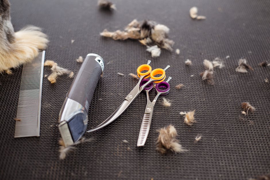 Close-up of grooming tools including scissors, trimmer, and pet fur on a black mat.