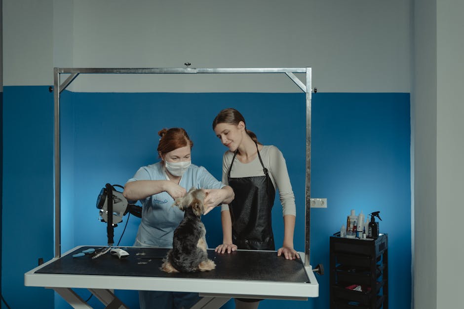 A dog groomer and her assistant tend to a Yorkshire Terrier on a grooming table.